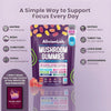 Neuro-Flow 10 Functional Mushroom Gummies