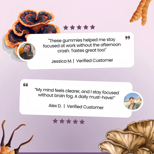 Neuro-Flow 10 Functional Mushroom Gummies