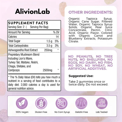 Neuro-Flow 10 Functional Mushroom Gummies