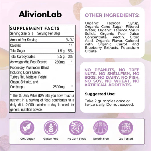 Neuro-Flow 10 Functional Mushroom Gummies