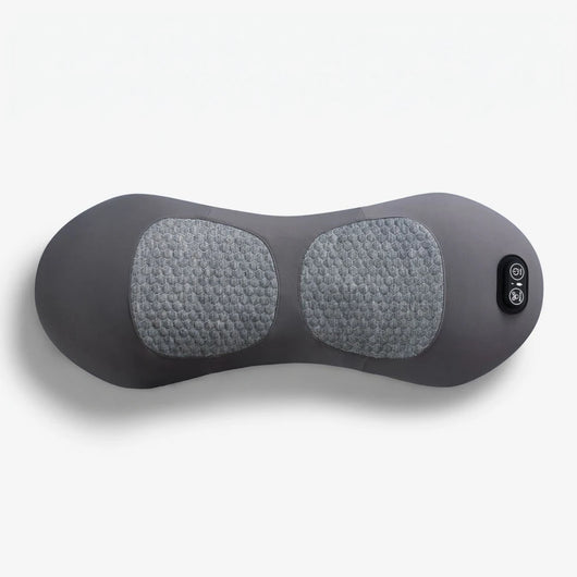 AlivionLab Back Pillow