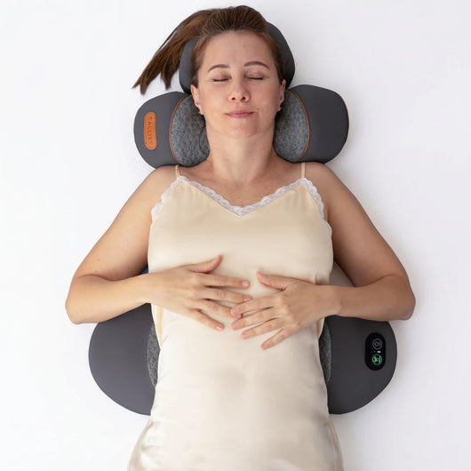 AlivionLab Back Pillow
