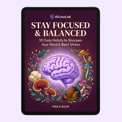 FREE - STAY FOCUSED & BALANCED E-BOOK