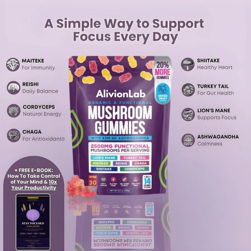 FocusFuel™ Functional Mushroom Gummies